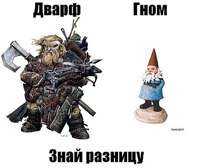 Dwarf vs gnome.jpeg