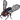 Giant fly sprite.png
