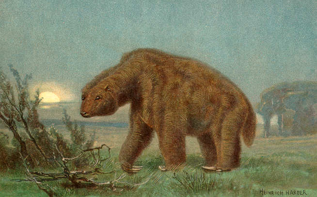 Файл:Megatherium.jpg