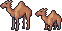 One humped camel sprites.png