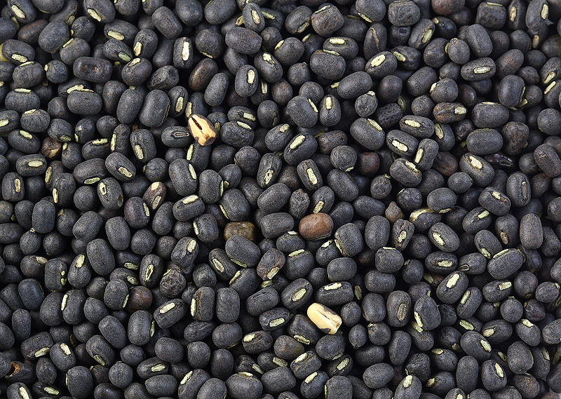 Файл:Black gram.jpg