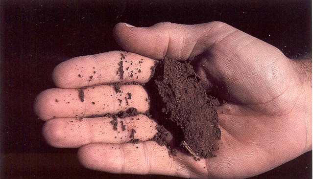 Файл:Sandy clay loam.jpg
