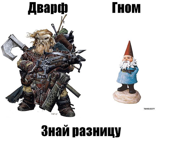Файл:Dwarf vs gnome.jpeg