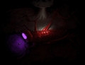 Omli Adothusel was a forgotten beast. A great one-eyed cricket. It has a broad shell and it has a bloated body. Its eye glows violet. Its red exoskeleton is waxy. Beware its poisonous sting! (post)