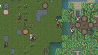 Untamed Wilds
