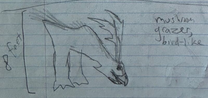 Файл:Notebook 10 ElkBird.jpg